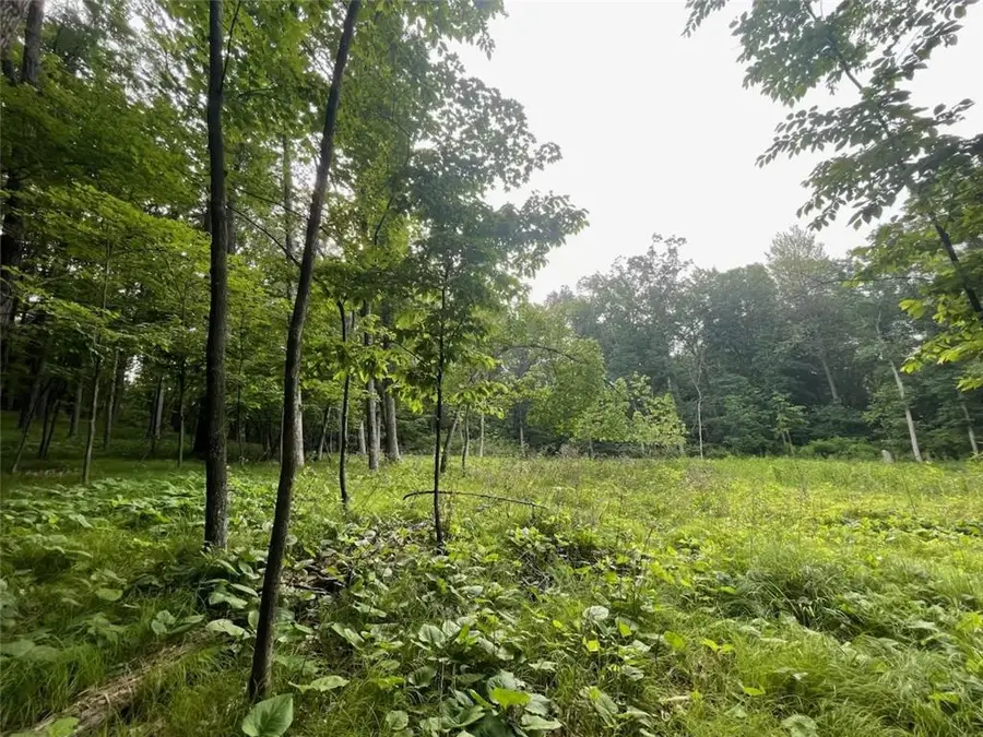 Lot's 4,5 & 6 Anderson Hill Lane, Boyceville, WI 54725 - #3
