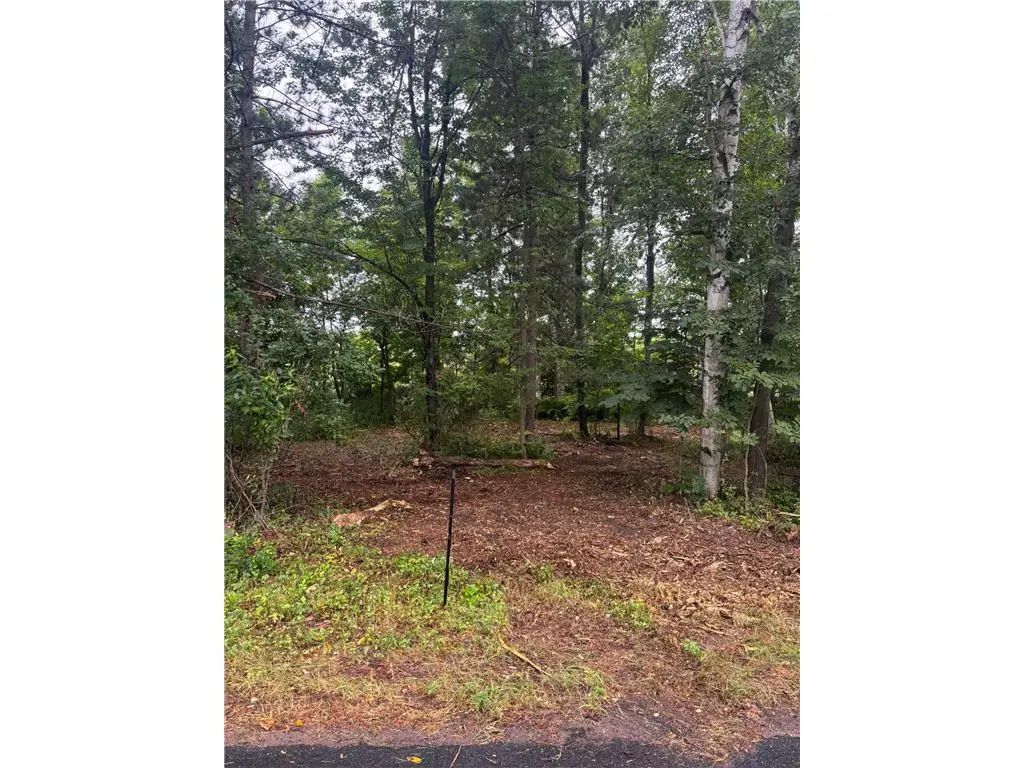 TBD W Bone Lake Dr, Milltown, WI 54858 - #1
