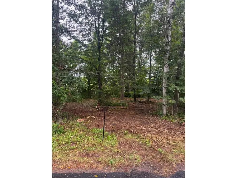 TBD W Bone Lake Dr, Milltown, WI 54858 - #2