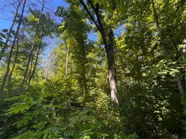Lot 1 County Road BB, Woodville, WI 54028