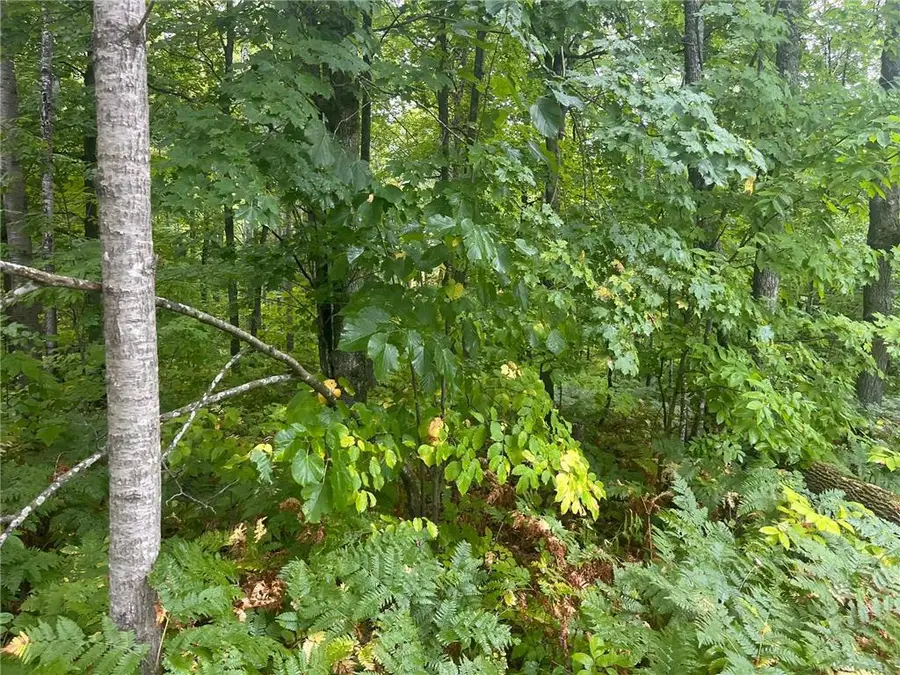 TBD 10th Street, Cumberland, WI 54829 - #3
