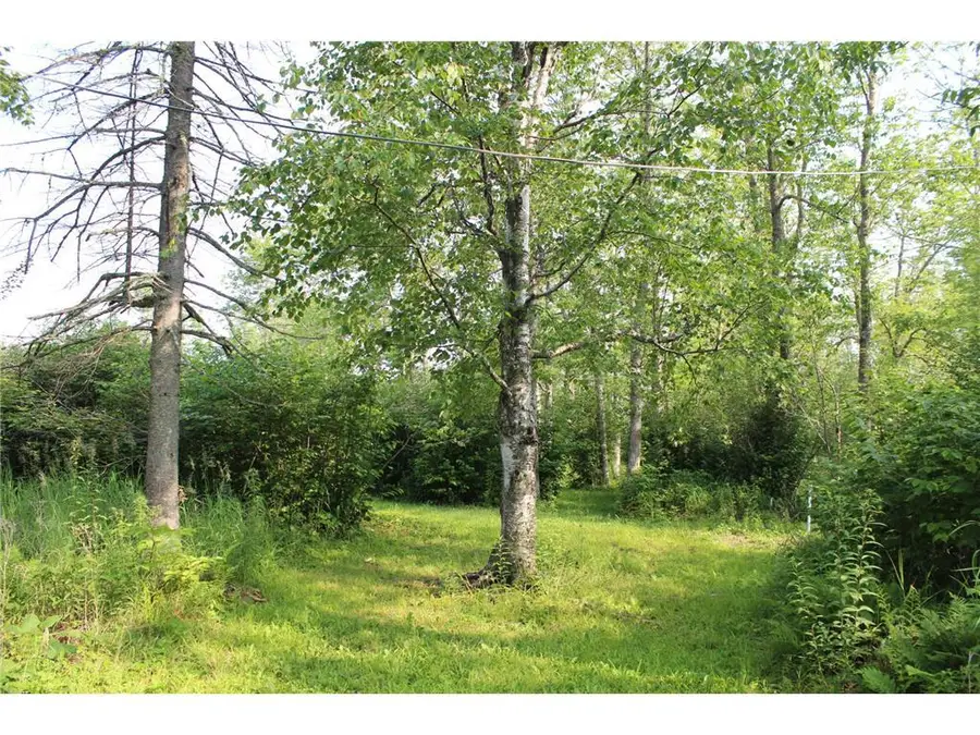 Lot 1 E Camp Amnicon Road, Lakeside, WI 54874 - #3