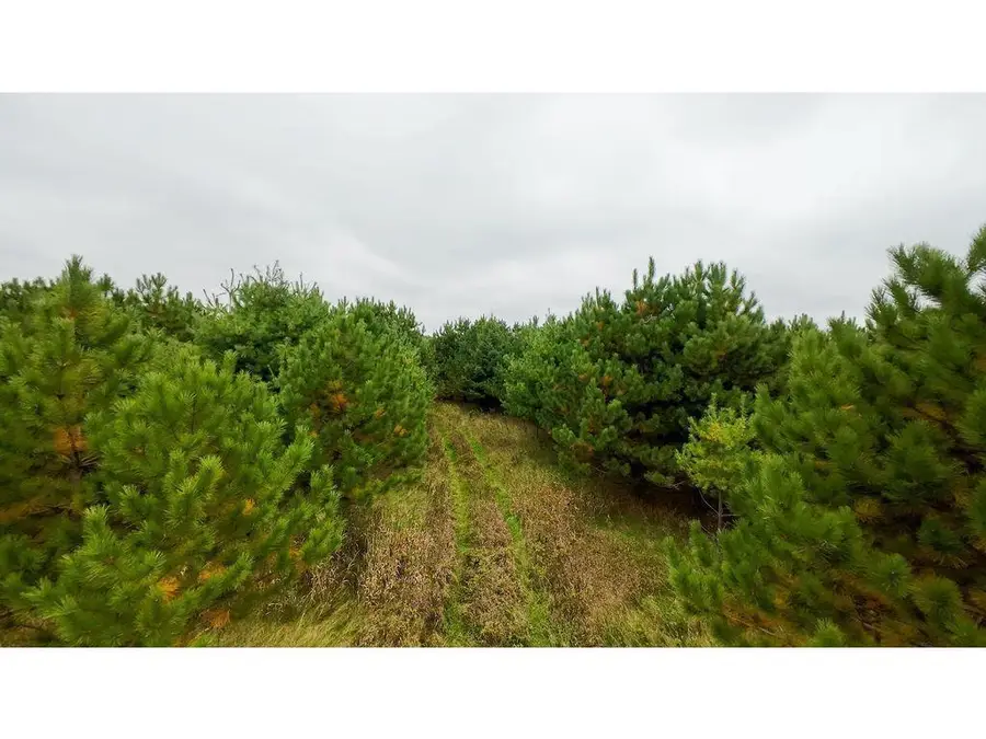 County Line Ave. TBD, Clear Lake, WI 54005 - #3
