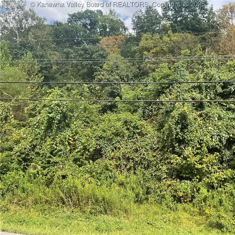 00 Ravenswood Road, Ravenswood, WV 26164 - Image #3