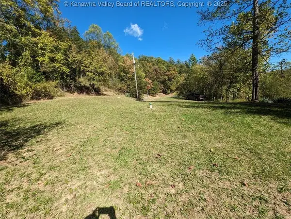 2220 Falls Creek Road, Tornado, WV 25202