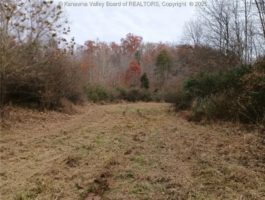 0 Wallace Road, Arbuckle, WV 25282 - Image #2