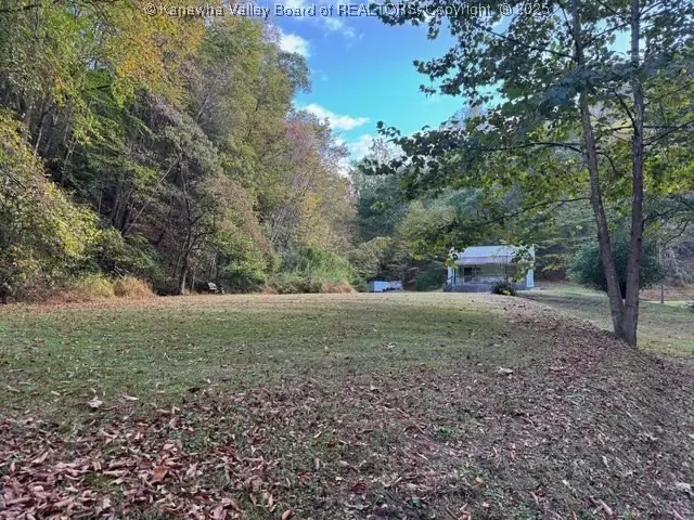 225 Laxton Hollow Road, Maysel, WV 25133 - Image #3