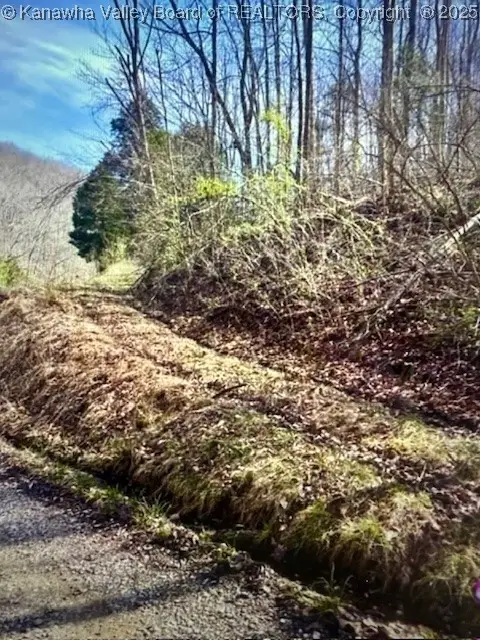 0 Utah Hollow Road, Charleston, WV 25312 - Image #1