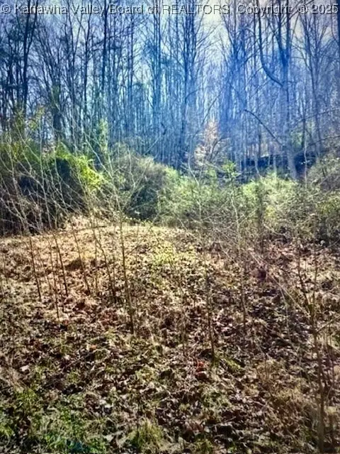 0 Utah Hollow Road, Charleston, WV 25312 - Image #3