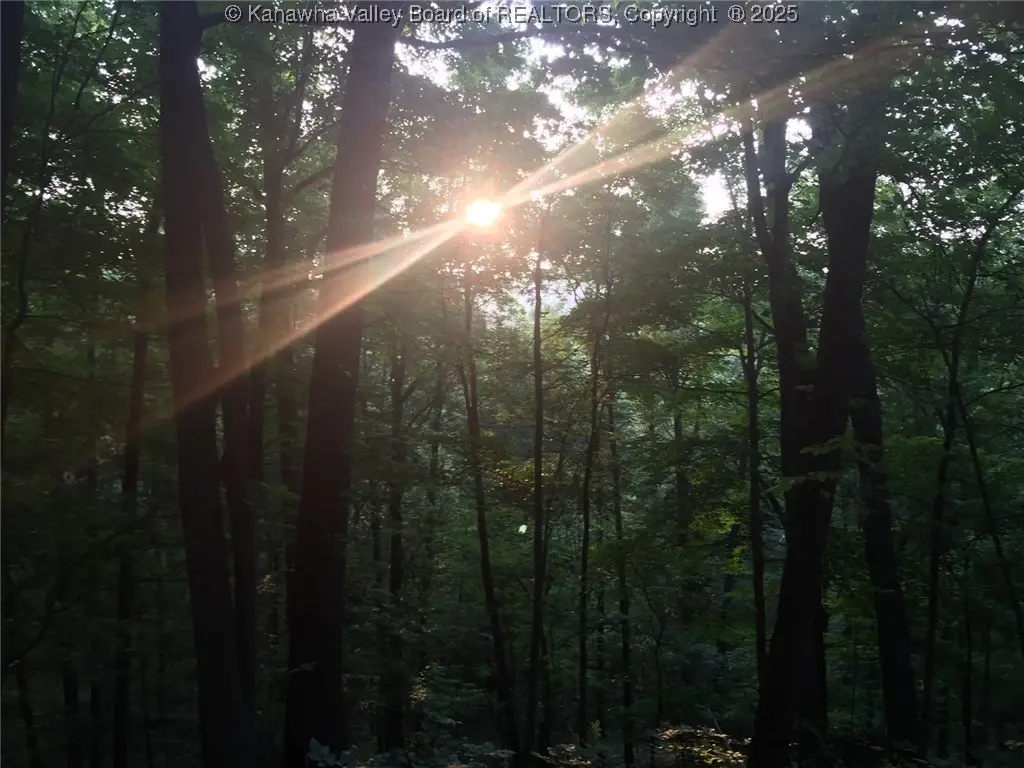 0 Fleshers Run Road, Ravenswood, WV 26164 - Image #1