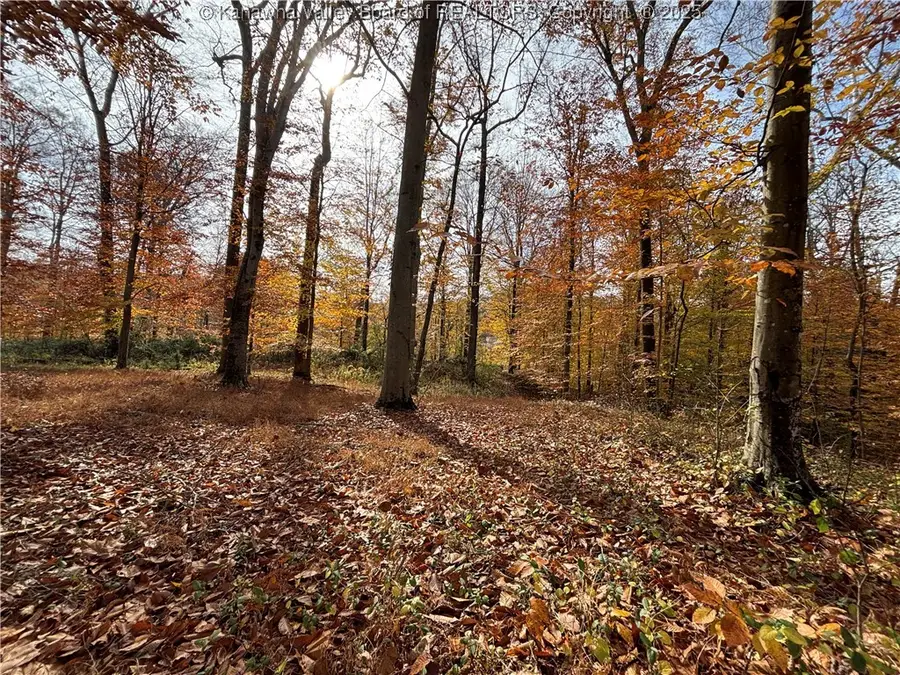 0 Cobblestone Lane, Saint Albans, WV 25177 - Image #3