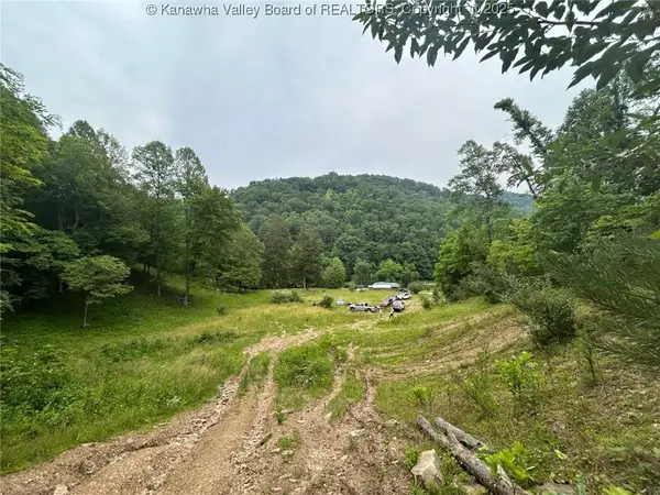 60 Margaret Drive, Chapmanville, WV 25508