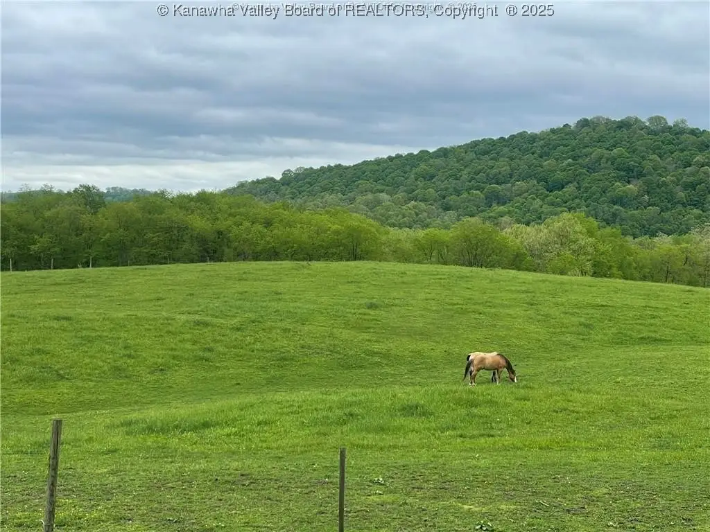 74 Long Meadow Lane, Worthington, WV 26591 - #1