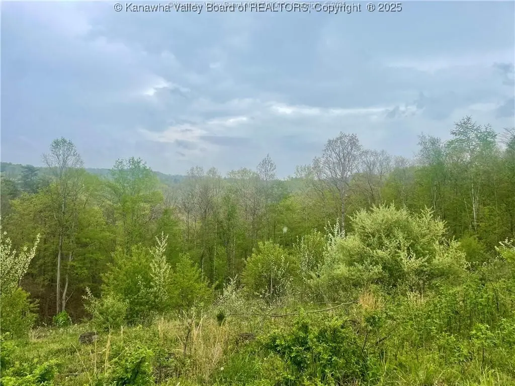 0 Siniaville Road, Ripley, WV 25271 - Image #1