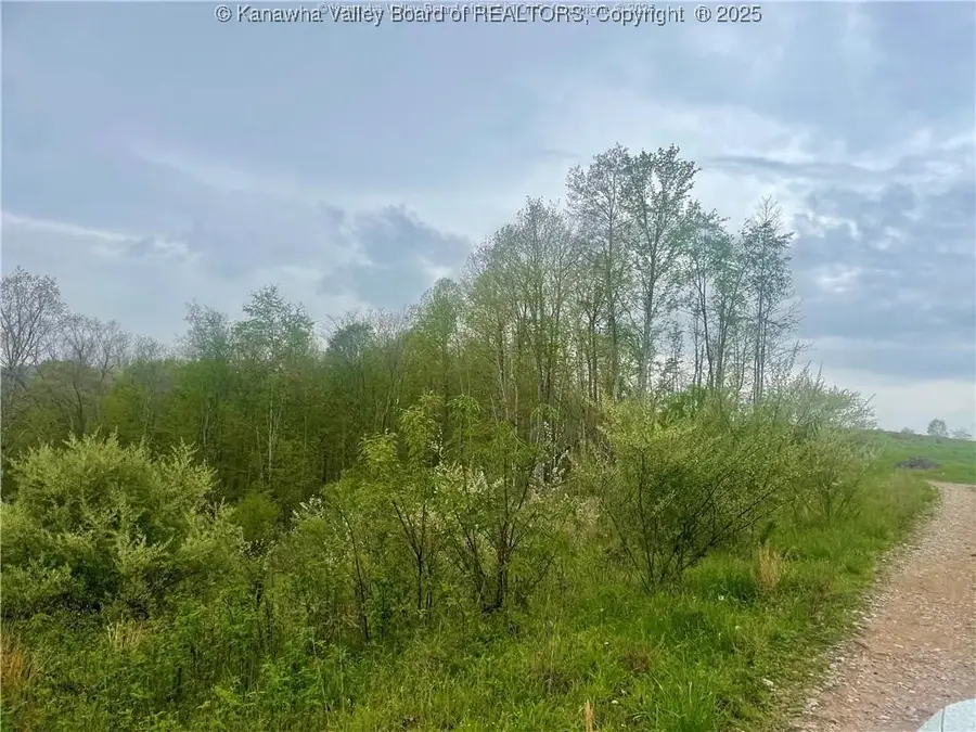 0 Siniaville Road, Ripley, WV 25271 - Image #3