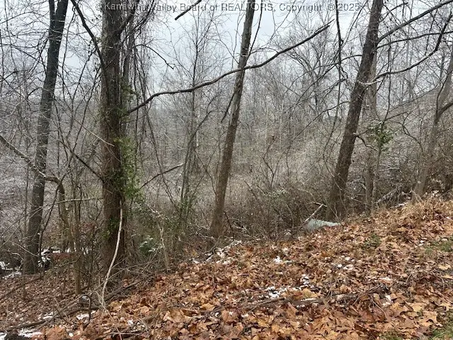 3988 Pinnacle View Road, Hurricane, WV 25526 - Image #2