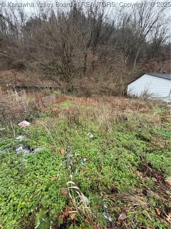 43 Gaines Street, Montgomery, WV 25136 - Image #2