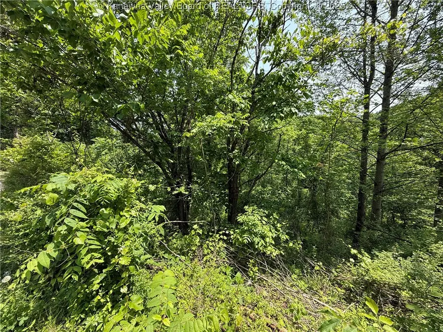 225 Pine Street, Charleston, WV 25311 - Image #2