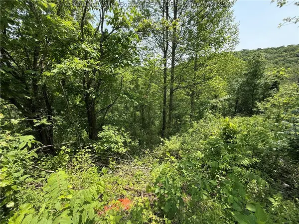 160 Pine Street, Charleston, WV 25311