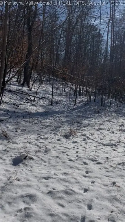 0 Cedar Drive, Scott Depot, WV 25560 - Image #2