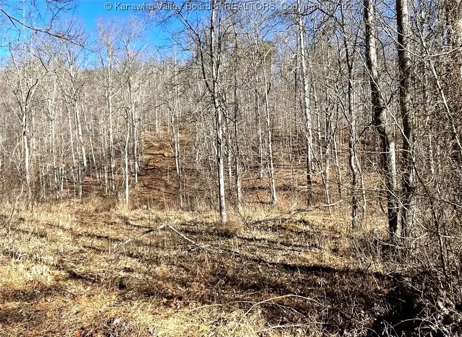 0 Two Mile Creek Road, Wayne, WV 25570 - #2