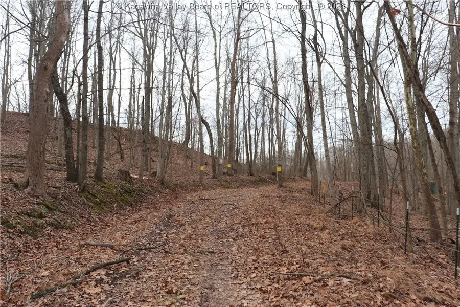 0 Route 12 Road, Alum Creek, WV 25003 - Image #3