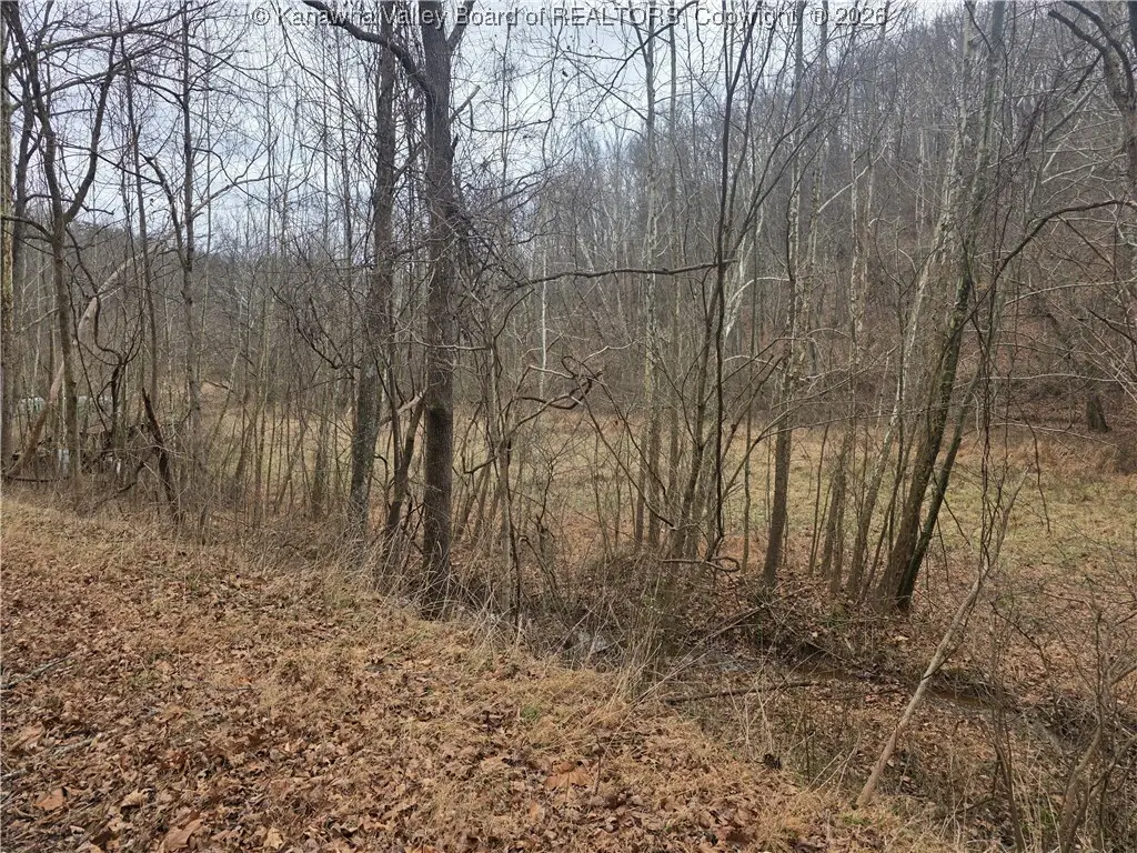 1007 Dry Branch Lane, Apple Grove, WV 25502 - Image #1