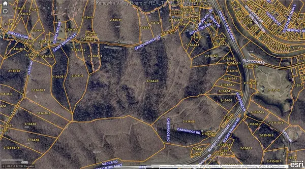 827 Caney Branch Road, Chapmanville, WV 25508