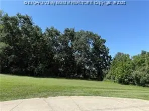 70 Sunday Silence Drive, Evans, WV 25241 - #1