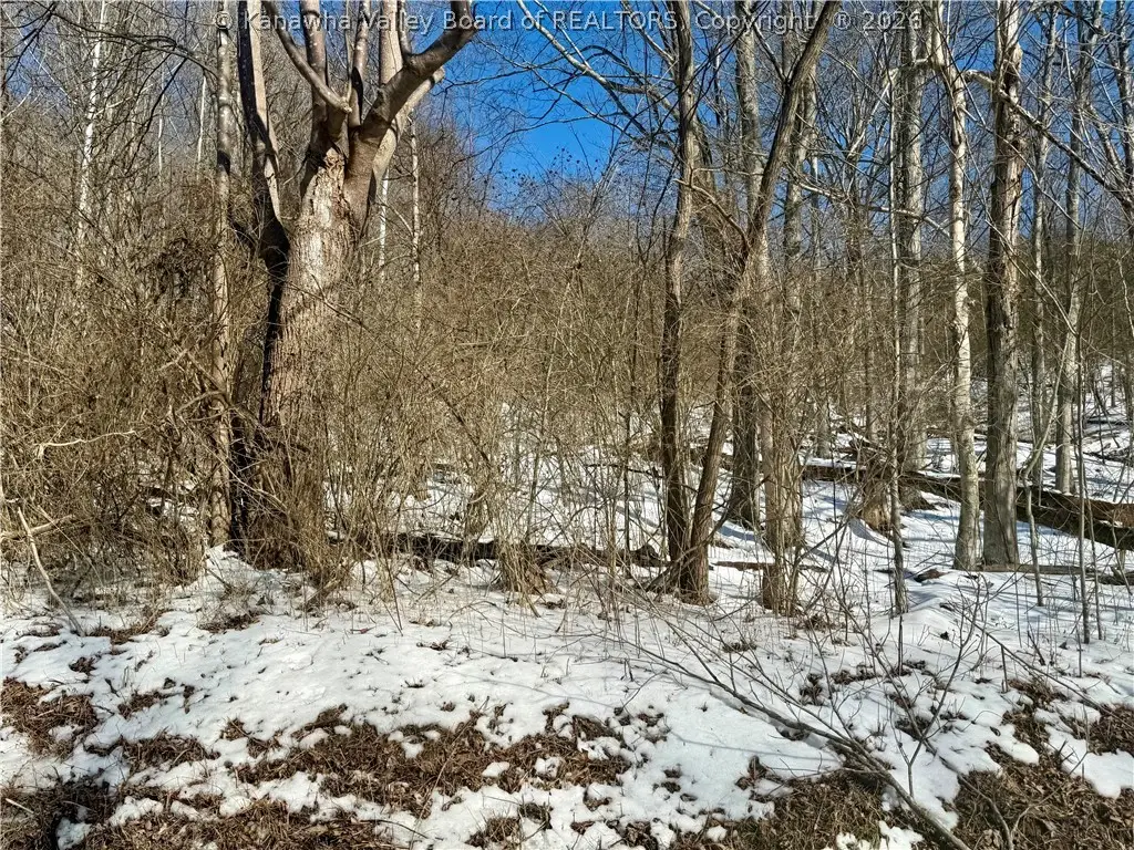 0 Newark Road, Elizabeth, WV 26143 - #1