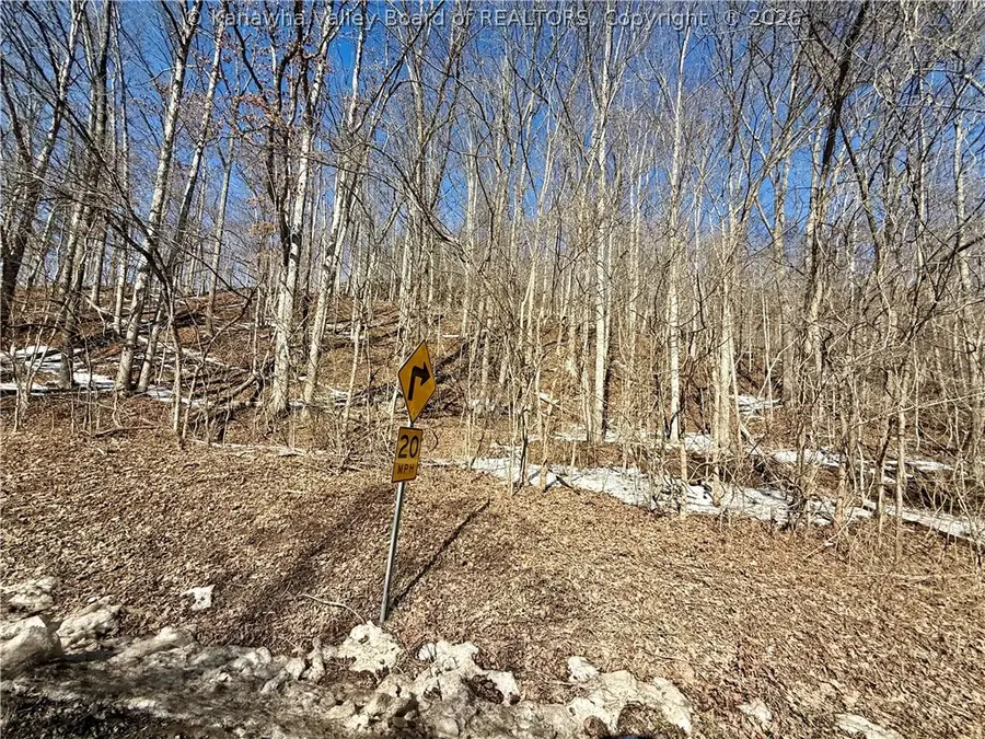 0 Newark Road, Elizabeth, WV 26143 - #2