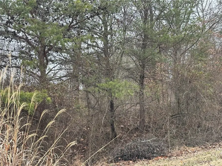 0 A Stones Throw #18, Saint Albans, WV 25177 - #3