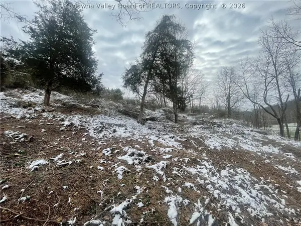 00 Garretts Bend Road, Sod, WV 25564