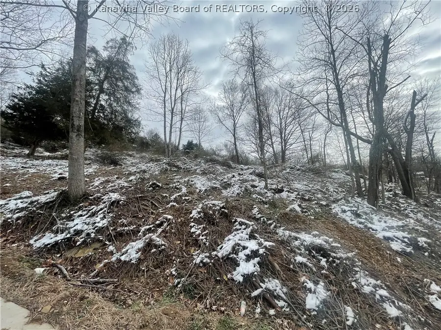 00 Garretts Bend Road, Sod, WV 25564 - #3