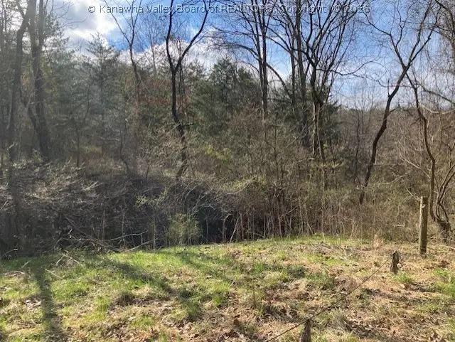 1402 Pierce Road, Leon, WV 25123 - #1