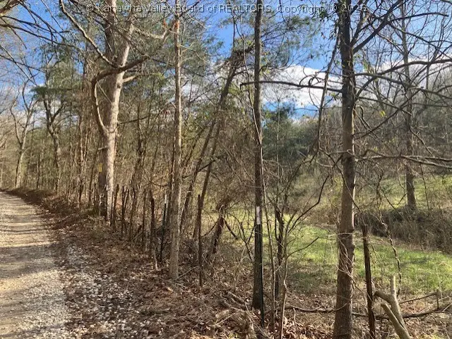 1402 Pierce Road, Leon, WV 25123 - #2