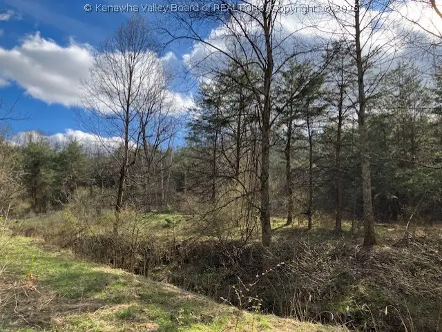 1402 Pierce Road, Leon, WV 25123 - #3