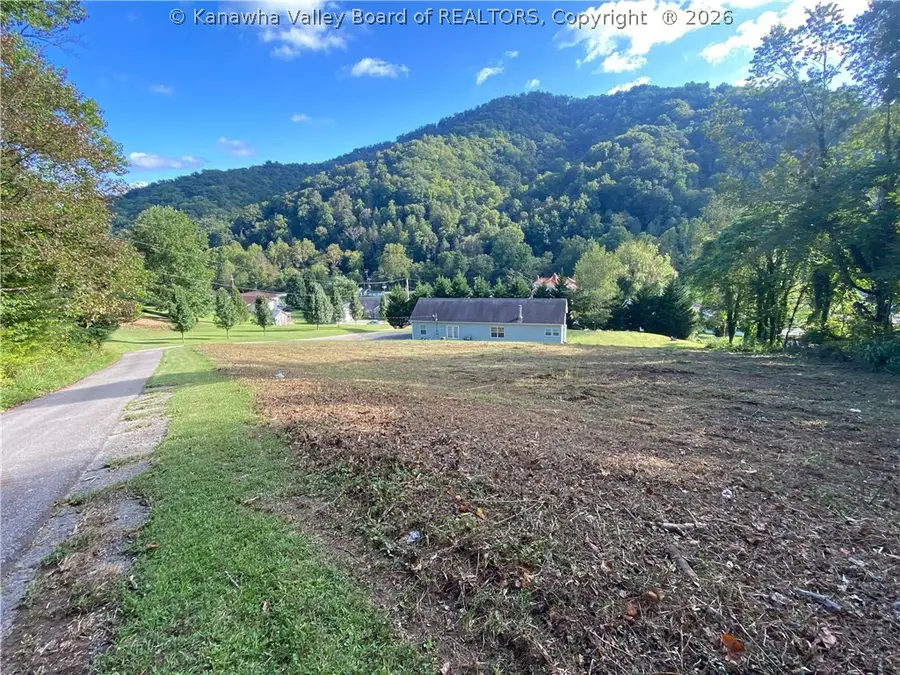 30 Palmer Place, Madison, WV 25130 - #3