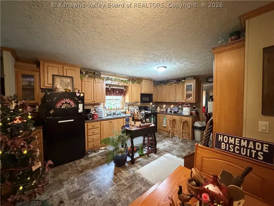 1638 Cottontree Road, Walton, WV 25286 - #2