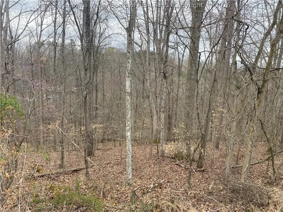 701 Tower Road, Hurricane, WV 25526 - #2
