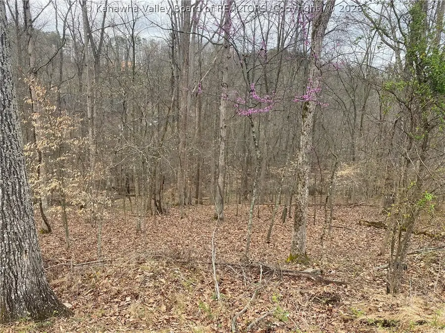 701 Tower Road, Hurricane, WV 25526 - #3