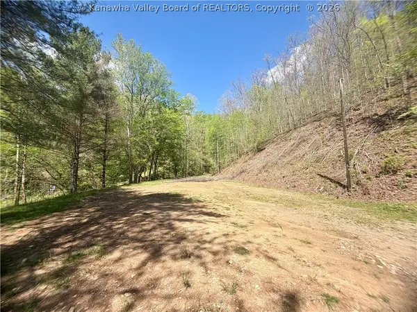 469 Tims Fork Road, Chapmanville, WV 25508