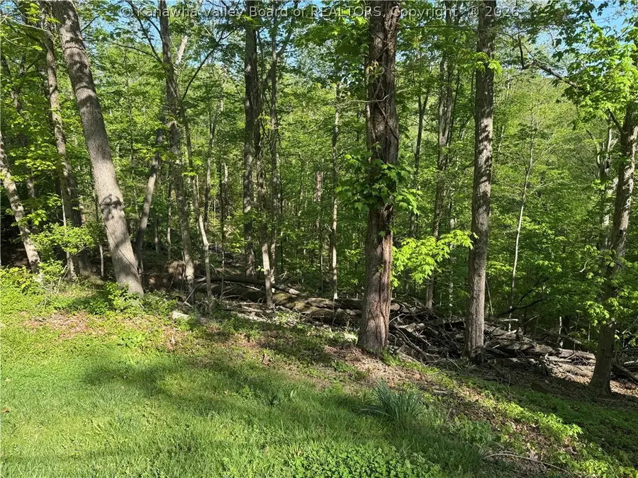 0 Woodfield Lane, Charleston, WV 25314 - #2