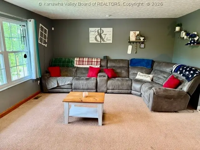 263 Spruce Lane, Poca, WV 25159 - #3