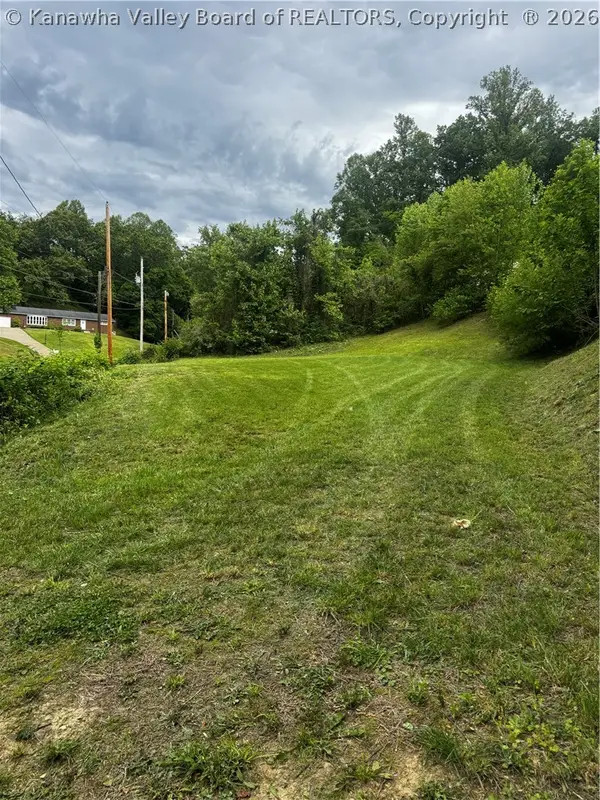 TBD Pigeon Roost Branch Road, Chapmanville, WV 25508
