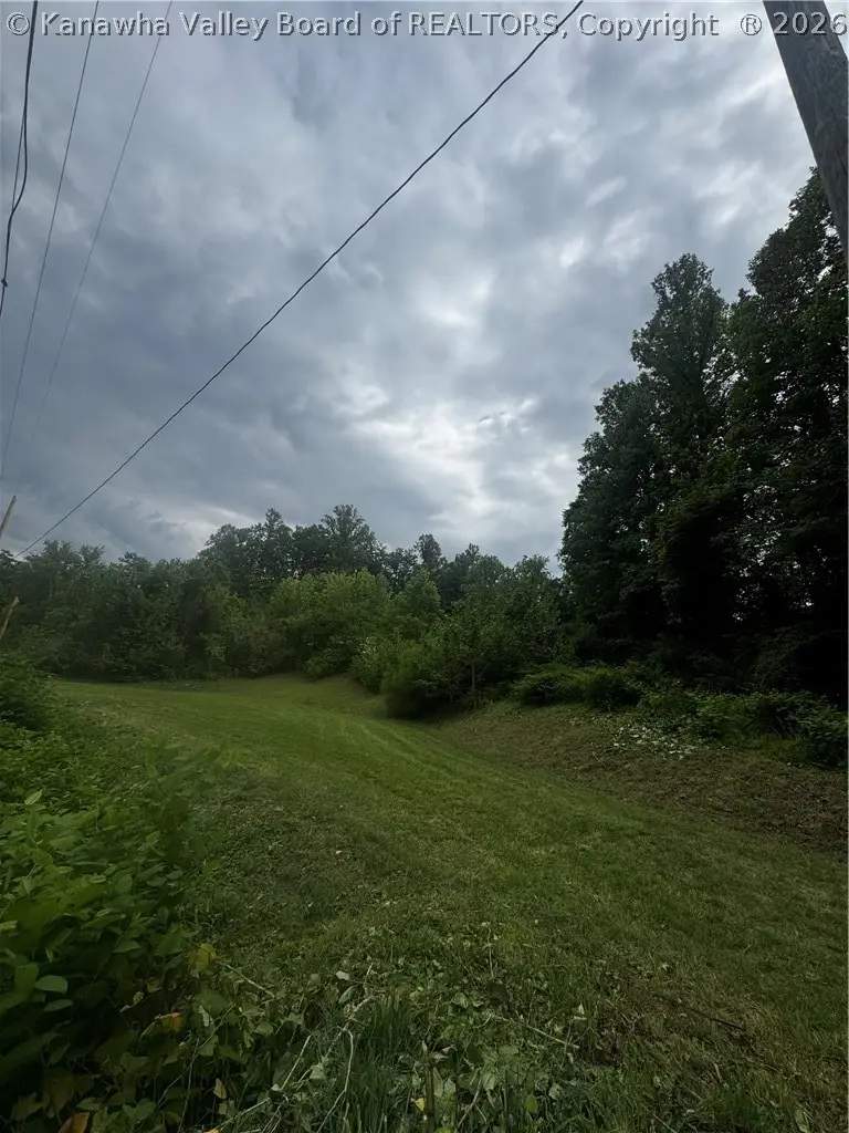 TBD Pigeon Roost Branch Road, Chapmanville, WV 25508 - #2