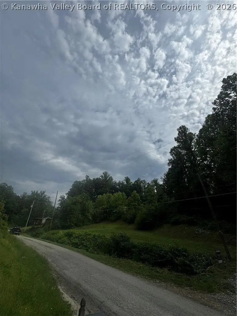 TBD Pigeon Roost Branch Road, Chapmanville, WV 25508 - #3