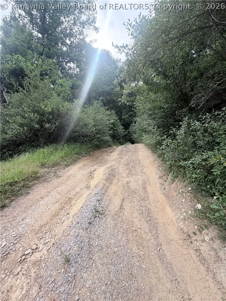 159 Honeysuckle Lane, Peytona, WV 25154 - #3