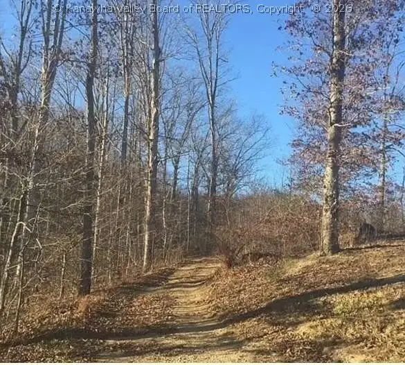 3129 Straight Fork, Alkol, WV 25501
