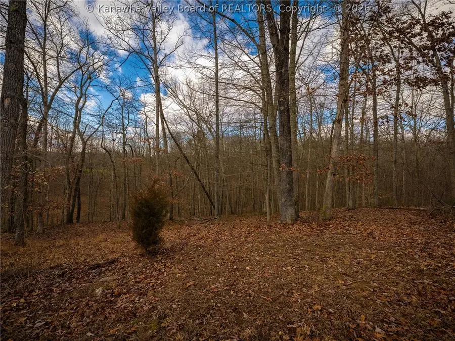 0 Lot 12 Stoney Creek Drive, Ripley, WV 25271 - #2